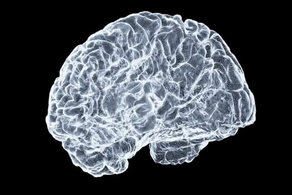 La huella invisible de tu mente: la plasticidad cerebral que transforma cada pensamiento en algo único