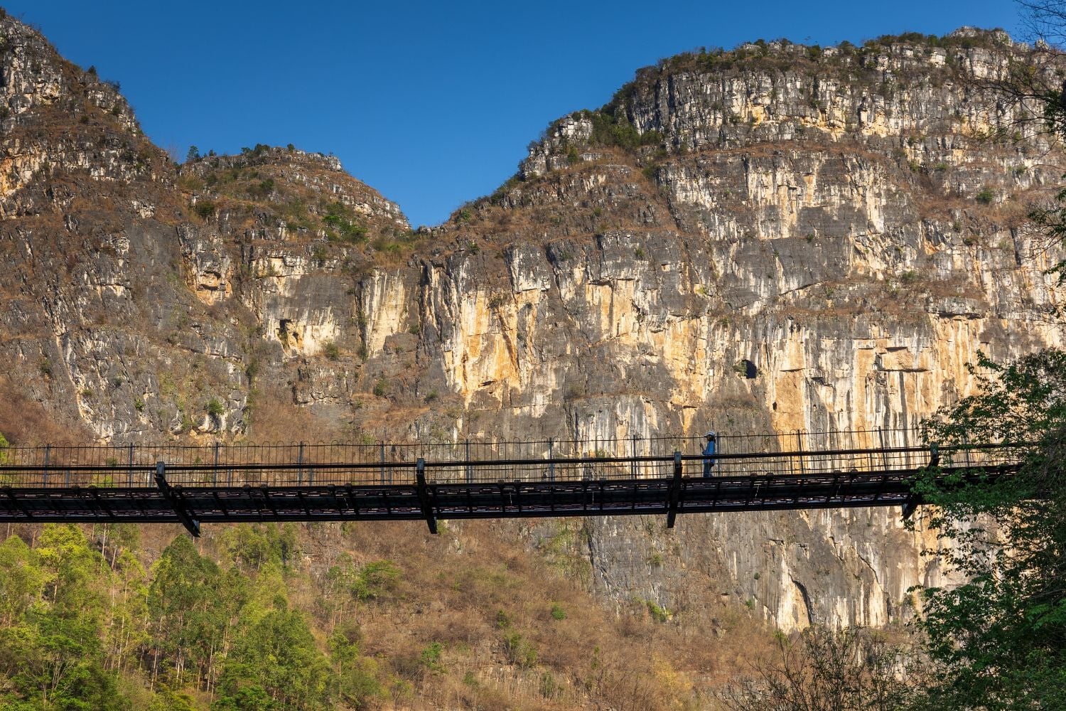 Diseño Sin Título (58)