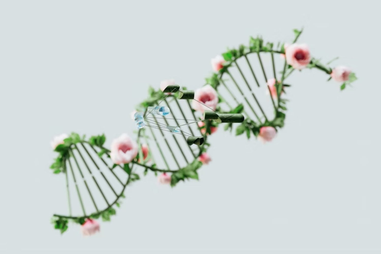 La genética podría ser más antigua de lo que creemos. Un estudio propone que los primeros códigos de vida existieron antes del origen de los organismos
