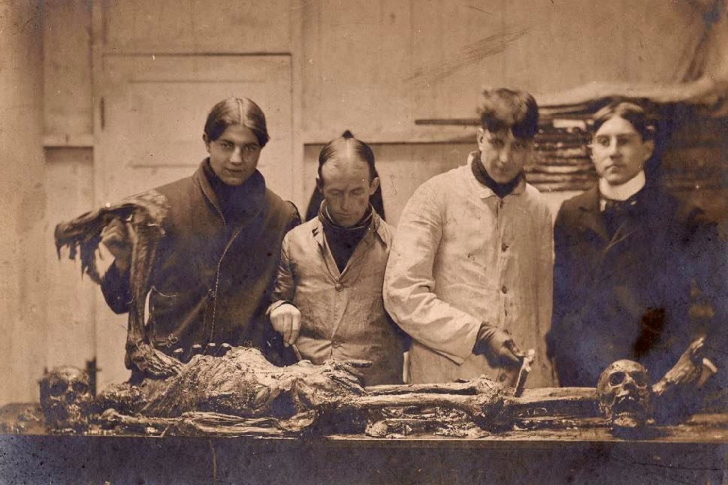 Cuando Europa se comió a sí misma: la medicina caníbal que convirtió cadáveres en remedios “curativos”