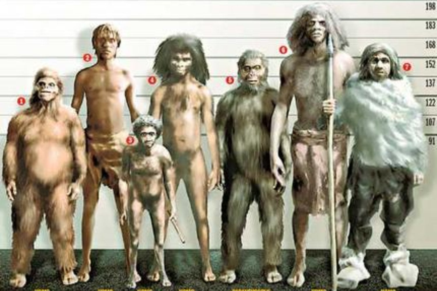 Un linaje diminuto y olvidado. Los “hobbits” humanos que cambiaron la historia de la evolución