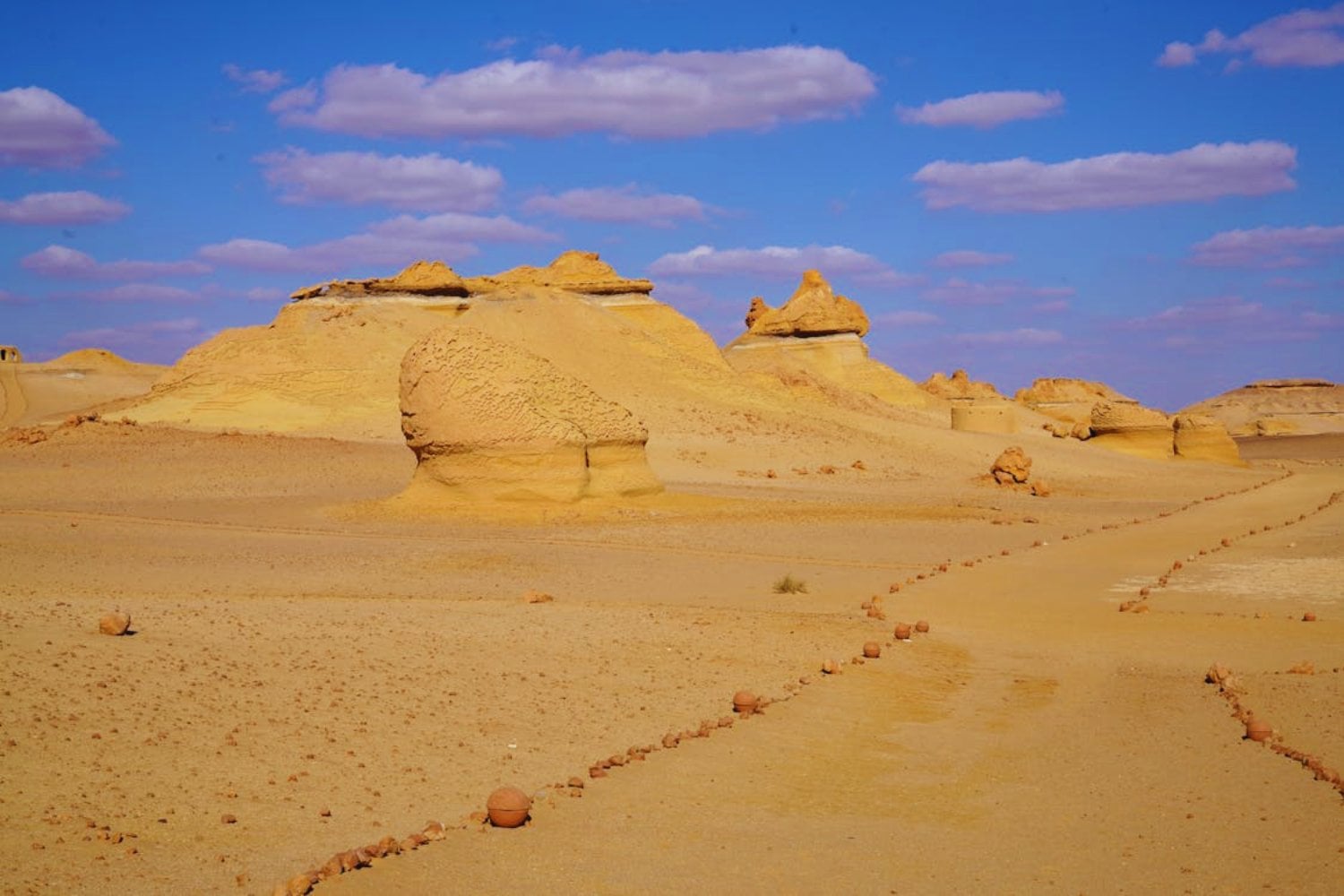 Donde el desierto fue mar. El valle egipcio que guarda cientos de ballenas prehistóricas atrapadas en el tiempo