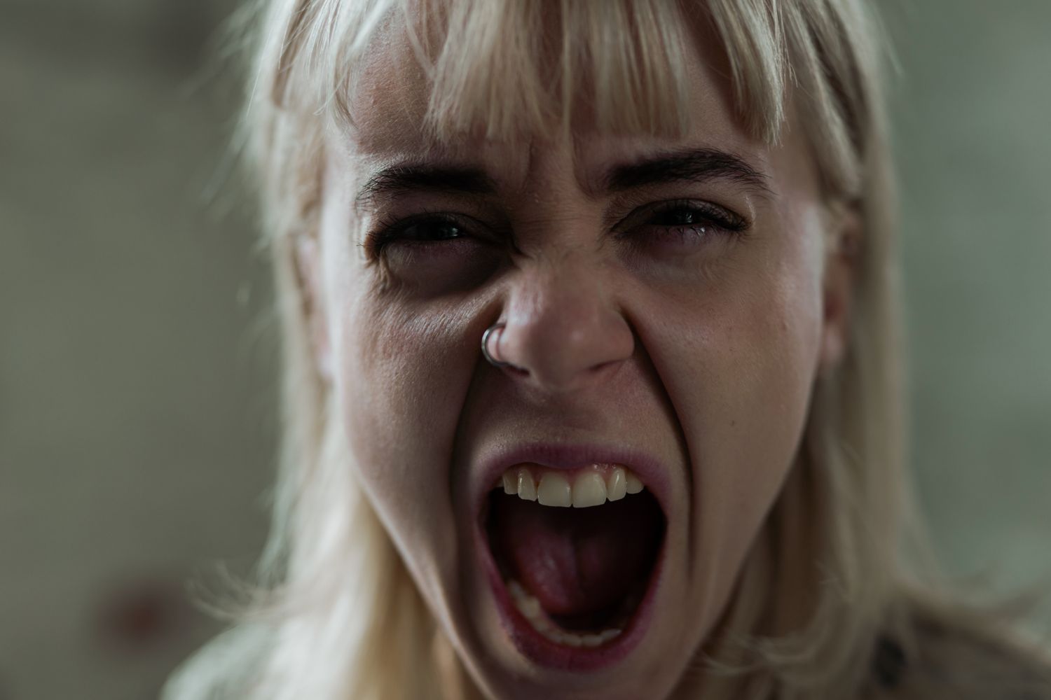 Diseño Sin Título (65)