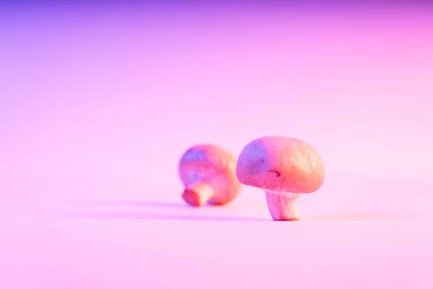 Cómo distintos hongos aprendieron el mismo truco psicodélico. La evolución repitió la fórmula mágica dos veces