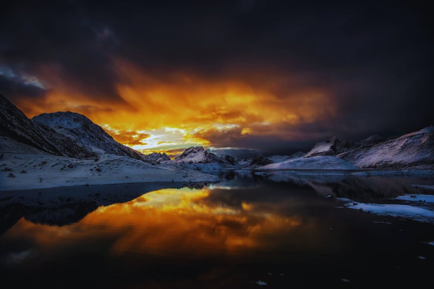 El hielo del Ártico no está muerto. Bajo la superficie blanca, los científicos hallaron un mundo verde que sigue vivo incluso a -15 °C