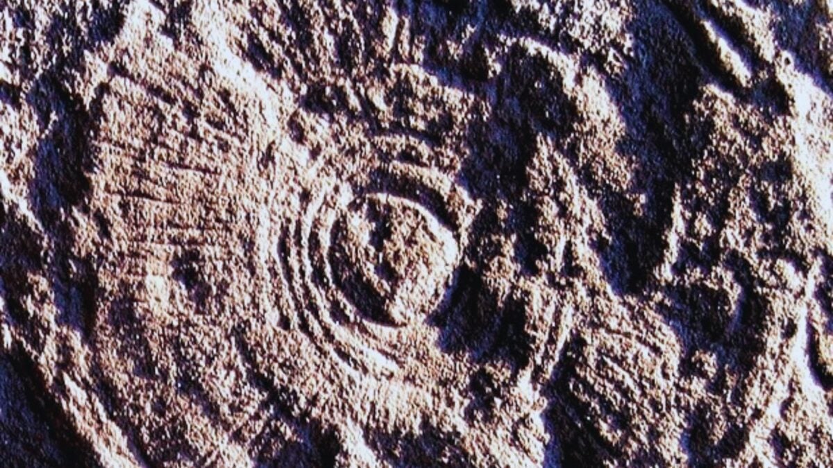 La vida animal comenzó mucho antes de lo que imaginábamos. Y su primer  latido no fue un rugido, sino el leve pulso de una esponja