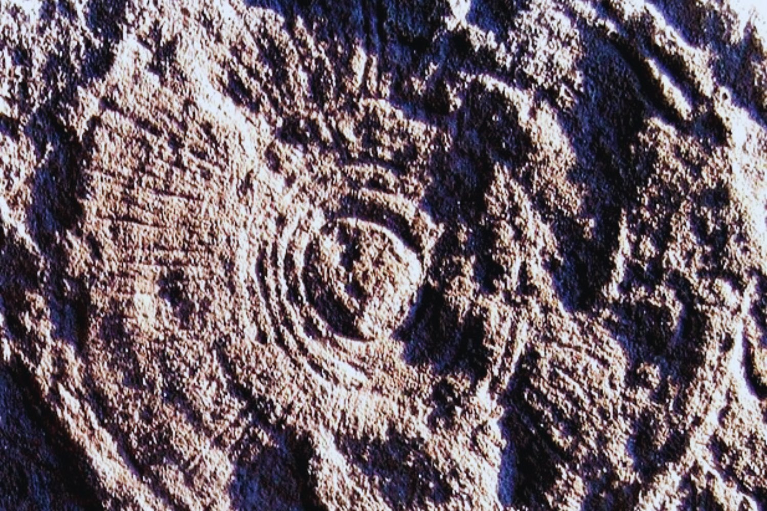 Cuesta ver a una esponja y pensar que la vida en la Tierra comenzó gracias a ellas. Pero todo apunta a que así fue