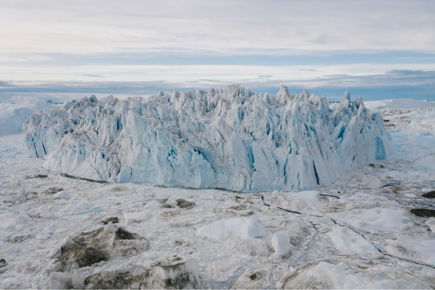 El hielo del Ártico no está muerto. Bajo la superficie blanca, los científicos hallaron un mundo verde que sigue vivo incluso a -15 °C