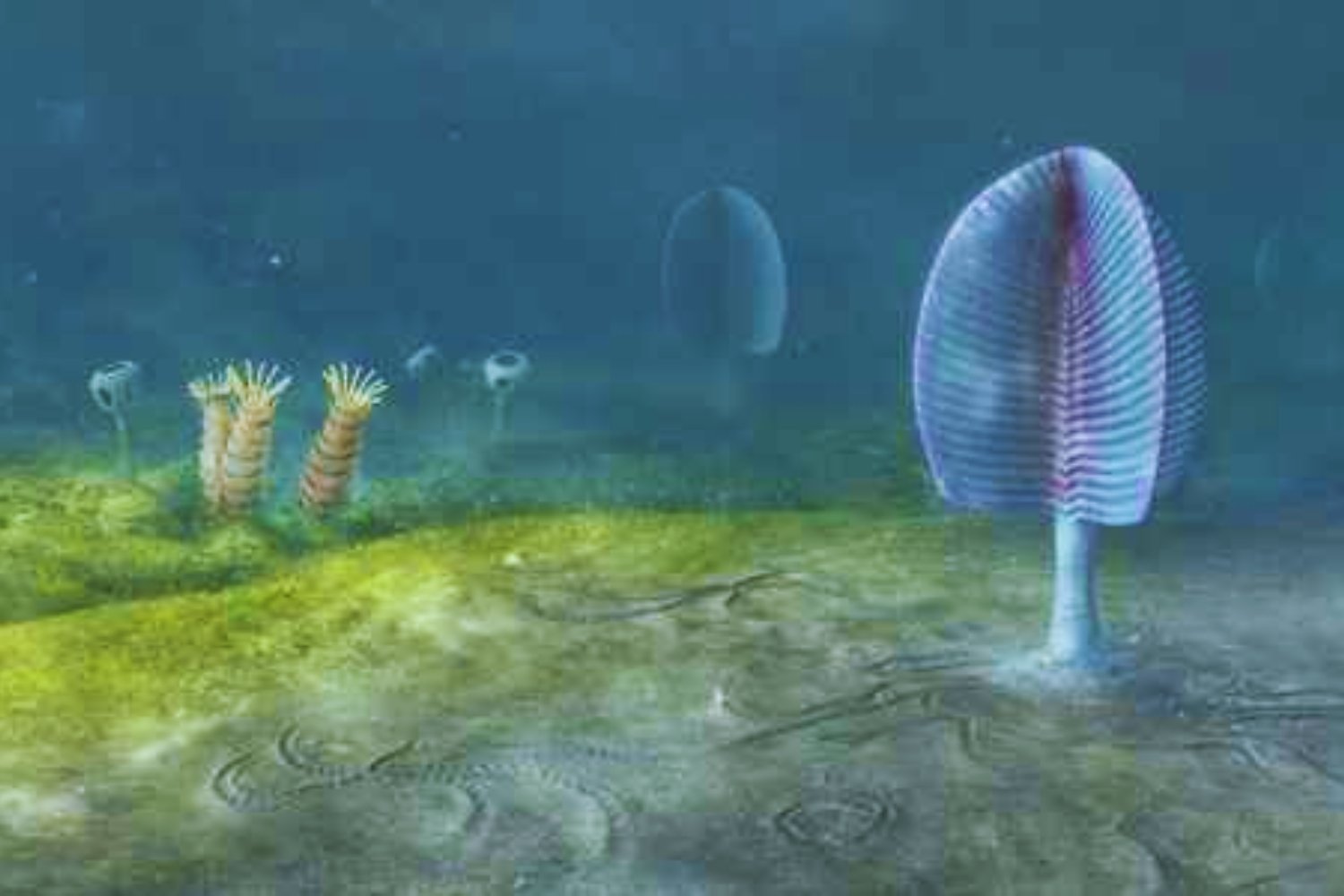 Cuesta ver a una esponja y pensar que la vida en la Tierra comenzó gracias a ellas. Pero todo apunta a que así fue