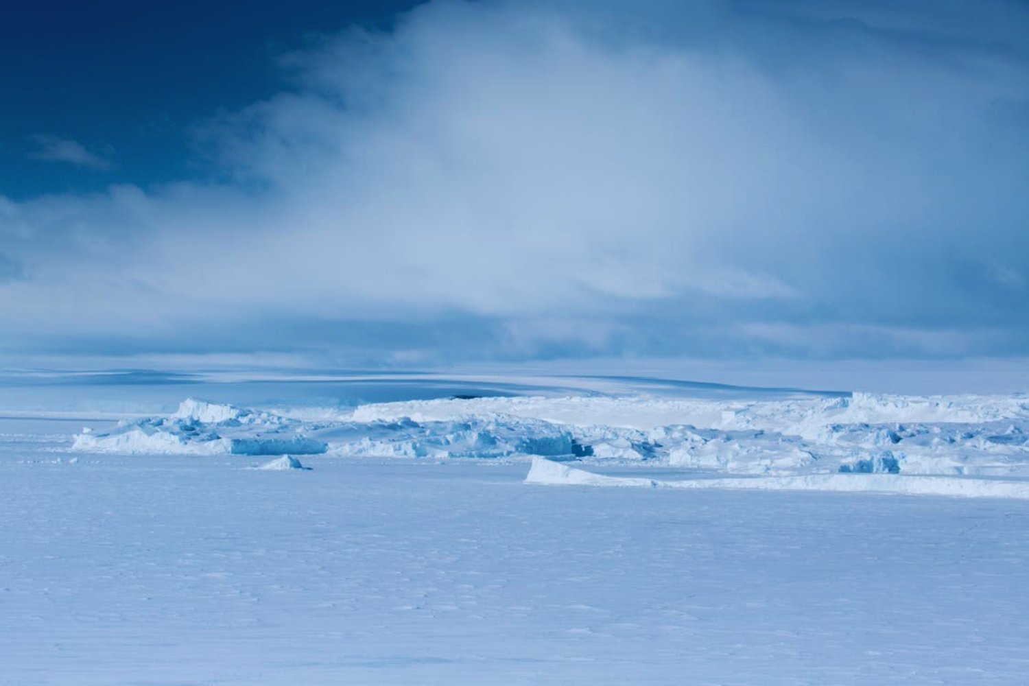 El hielo del Ártico no está muerto. Bajo la superficie blanca, los científicos hallaron un mundo verde que sigue vivo incluso a -15 °C
