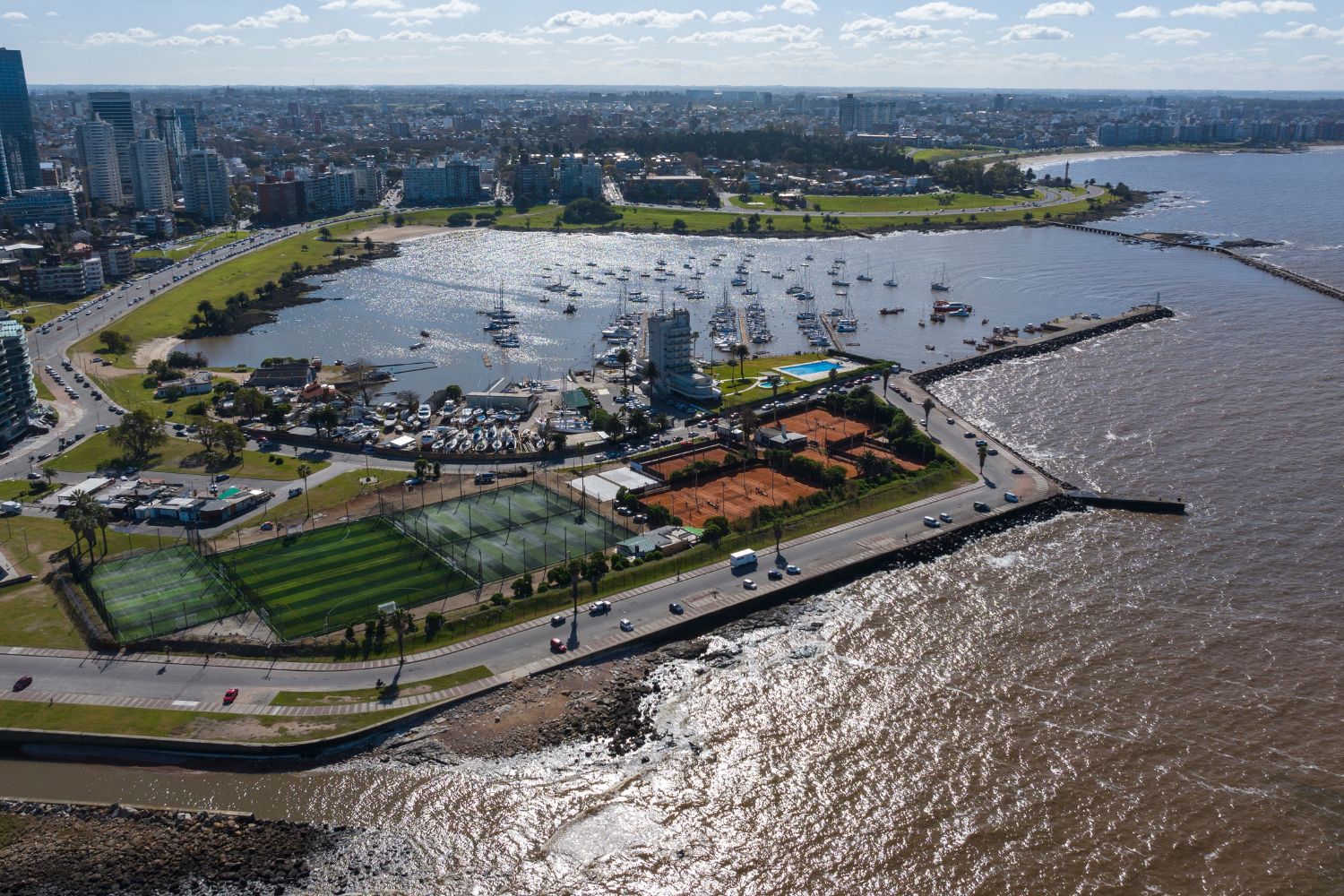 Diseño Sin Título (80)