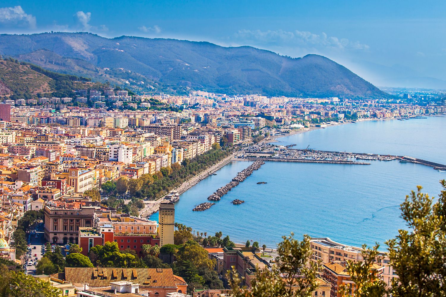 Diseño Sin Título (86)