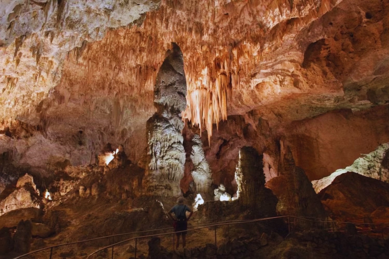 Una bolsa de Cheetos cayó en la cueva más grande de Estados Unidos. Lo que vino después fue un pequeño apocalipsis biológico bajo tierra