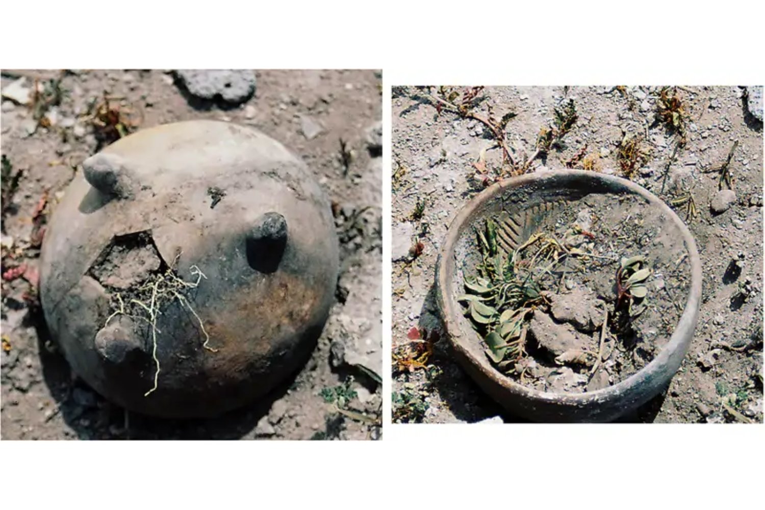 Un escorpión tallado en la tierra mexicana que miraba al Sol. El misterioso montículo que podría reescribir la astronomía antigua