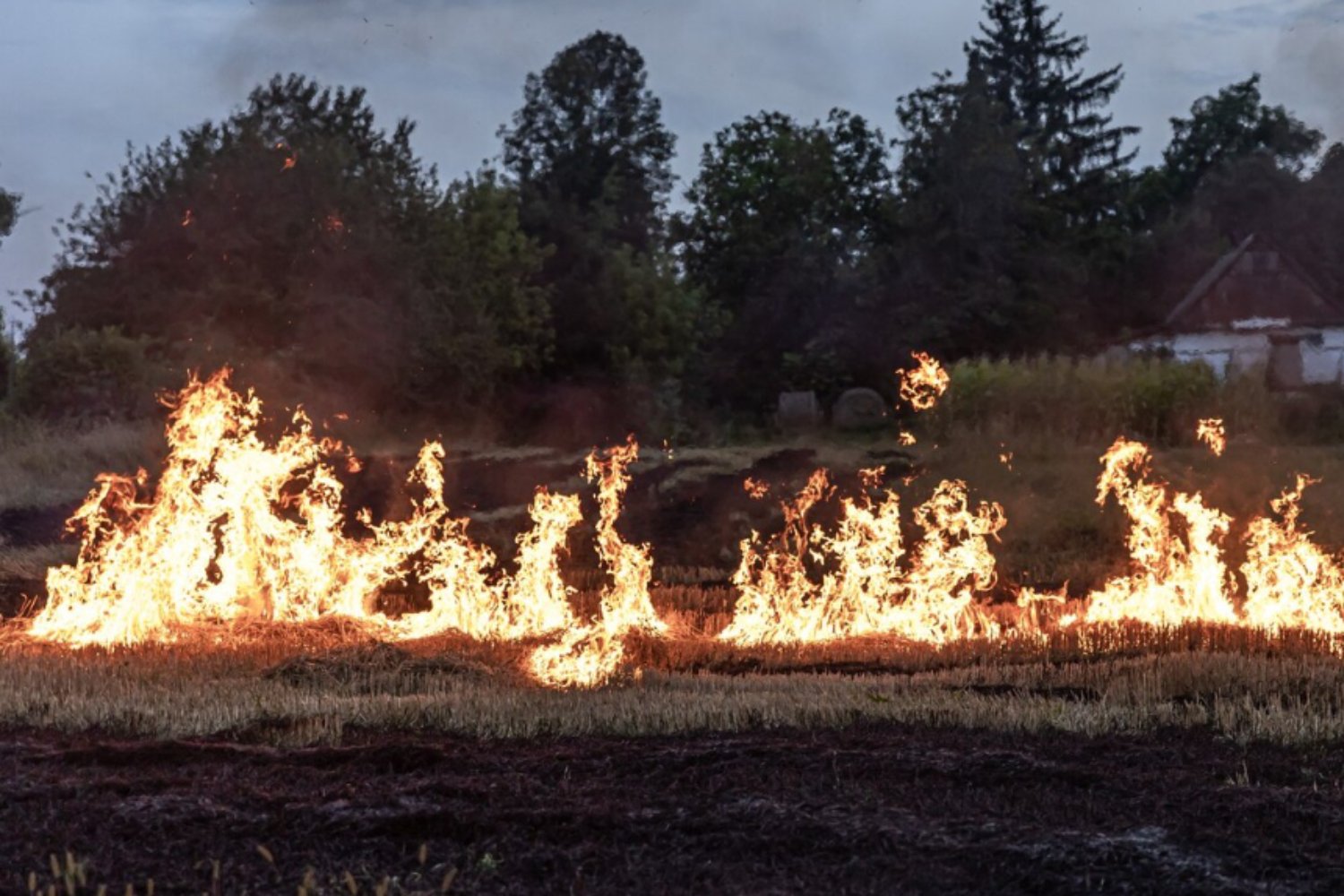 Incluso los rayos débiles pueden iniciar incendios forestales: la ciencia reescribe lo que sabíamos sobre tormentas y fuego
