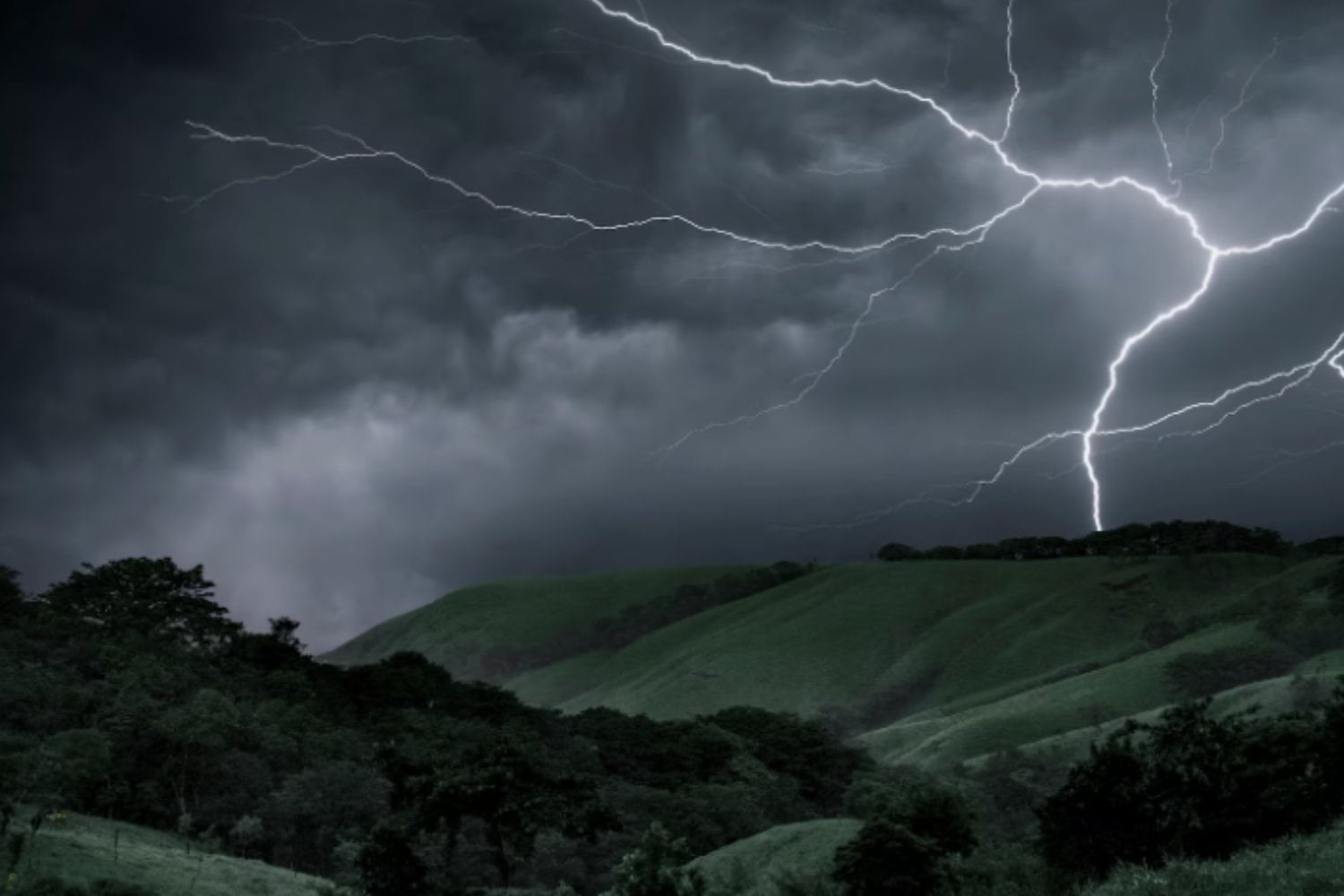 Incluso los rayos débiles pueden iniciar incendios forestales: la ciencia reescribe lo que sabíamos sobre tormentas y fuego