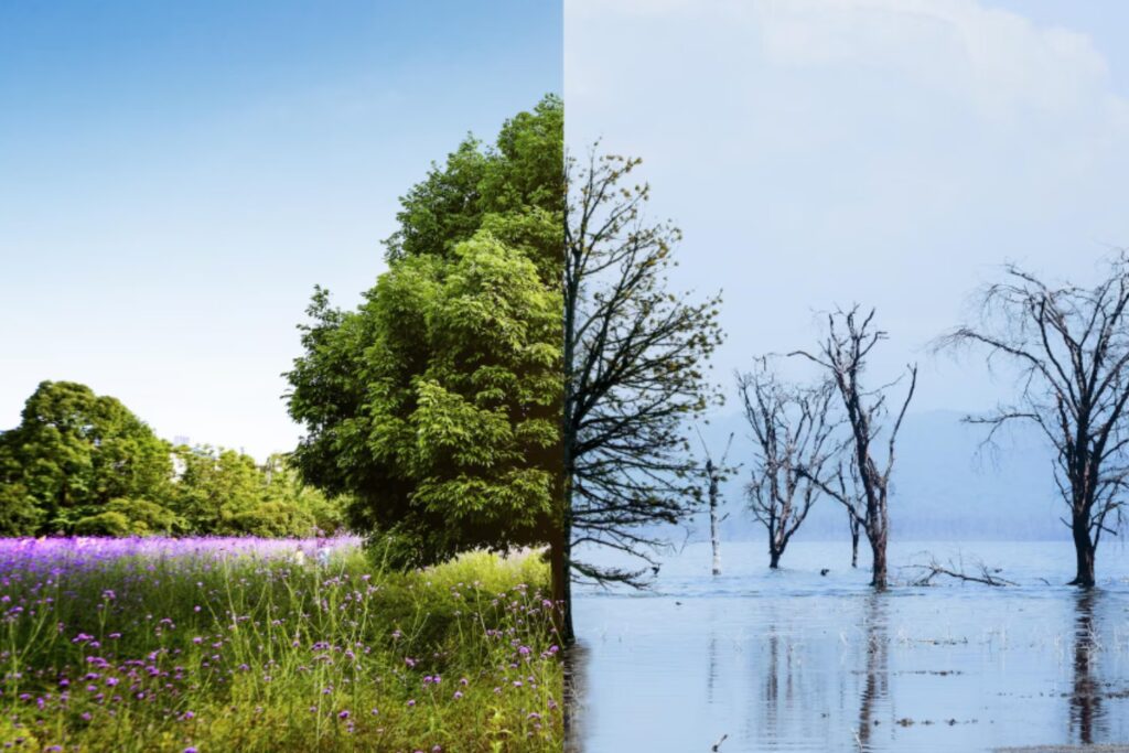 El mundo se aproxima al colapso climático, pero la ciencia señala un rayo de esperanza