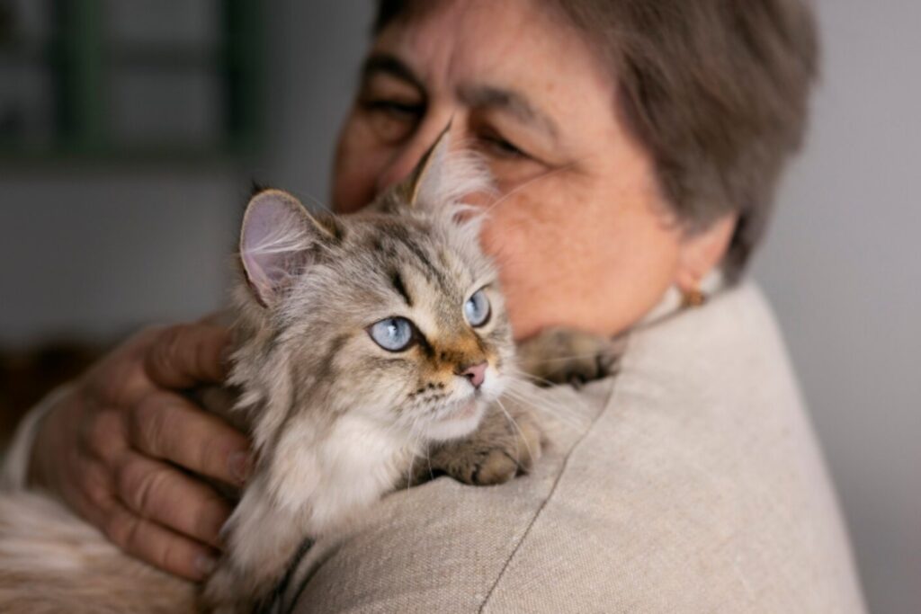 Las señales que revelan que tu gato está envejeciendo, según los veterinarios
