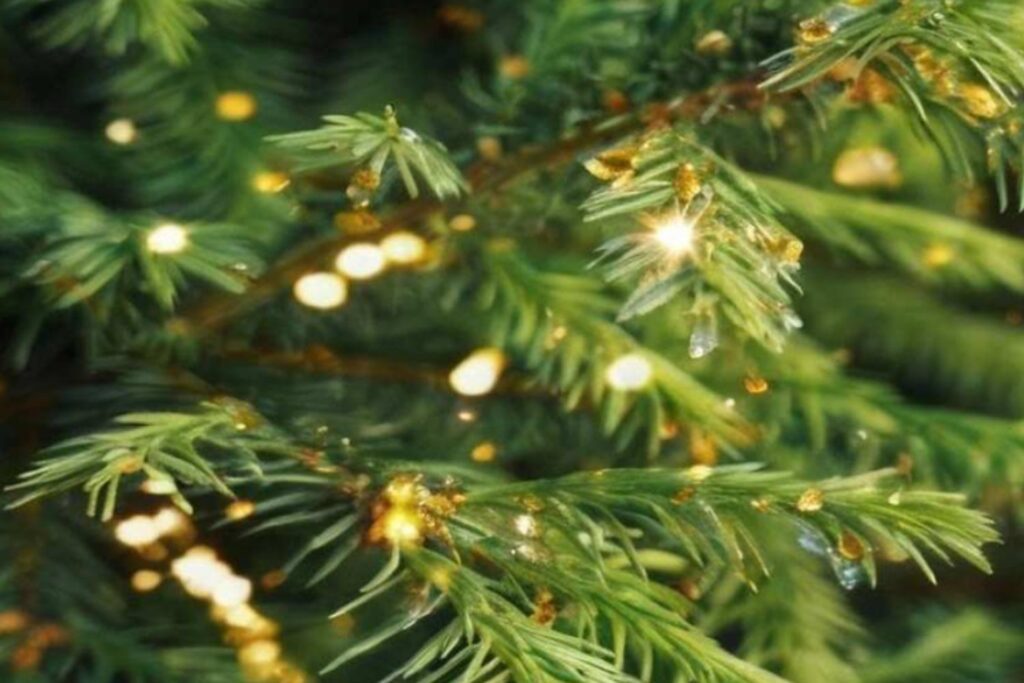 El enigma del árbol con “brotes de oro” en Finlandia: la ciencia revela qué está ocurriendo