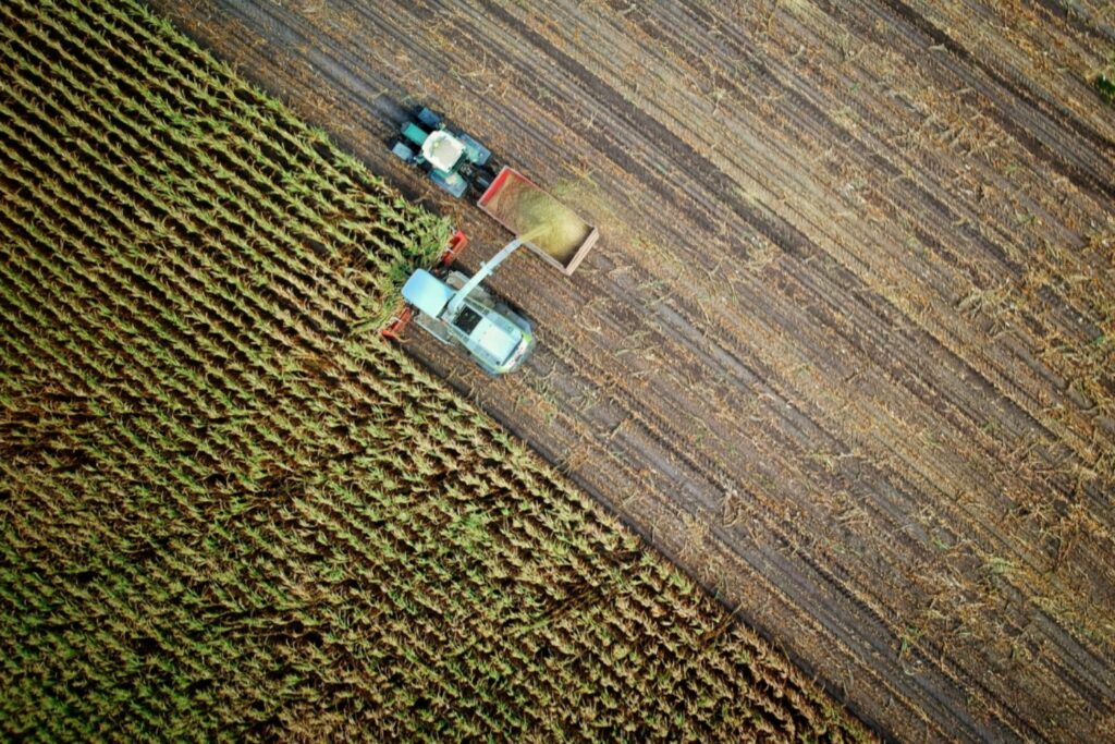 180 años cultivando sin pausa: las lecciones del experimento Broadbalk para una agricultura que alimente y repare el planeta