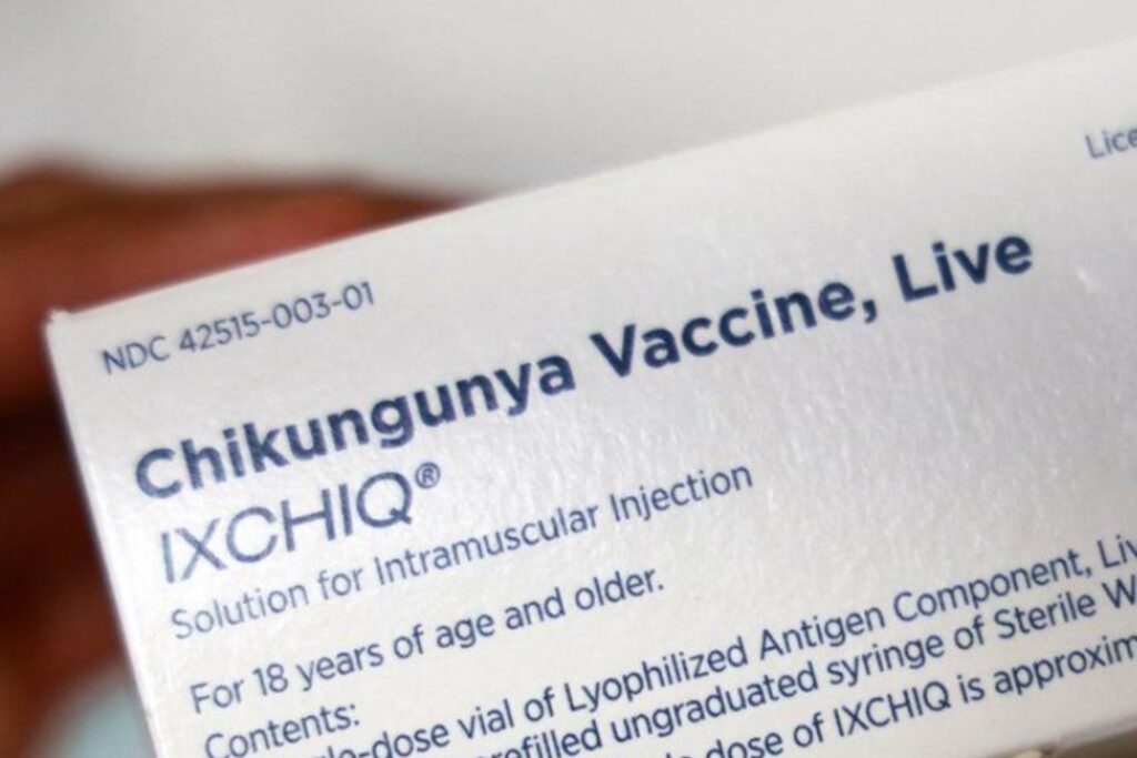 Chikungunya, la fiebre que dobla cuerpos: cómo el cambio climático y los viajes globales expanden un virus olvidado