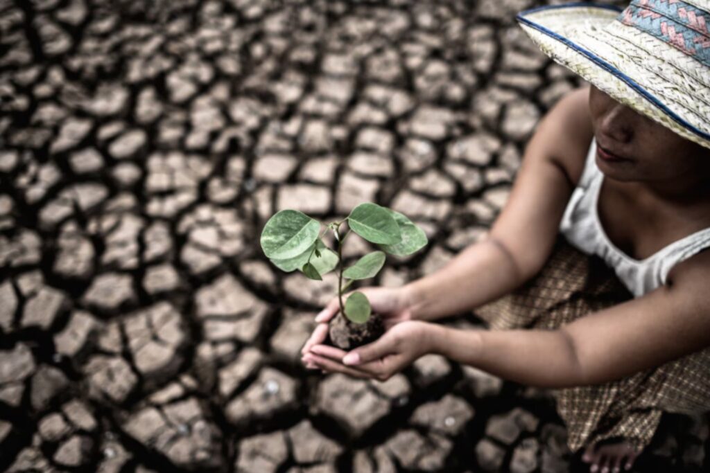 El dato que confirma lo que temíamos: casi el 80 % del planeta ha alcanzado temperaturas récord en apenas dos décadas