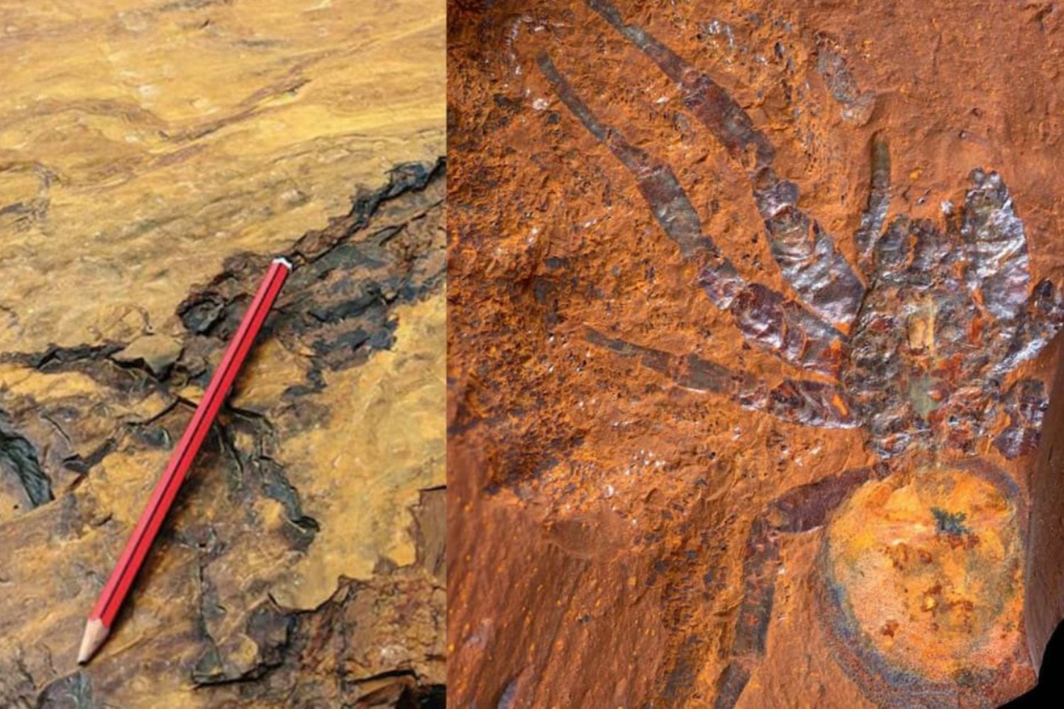 Las rocas rojas de Australia que esconden fósiles invisibles al ojo humano