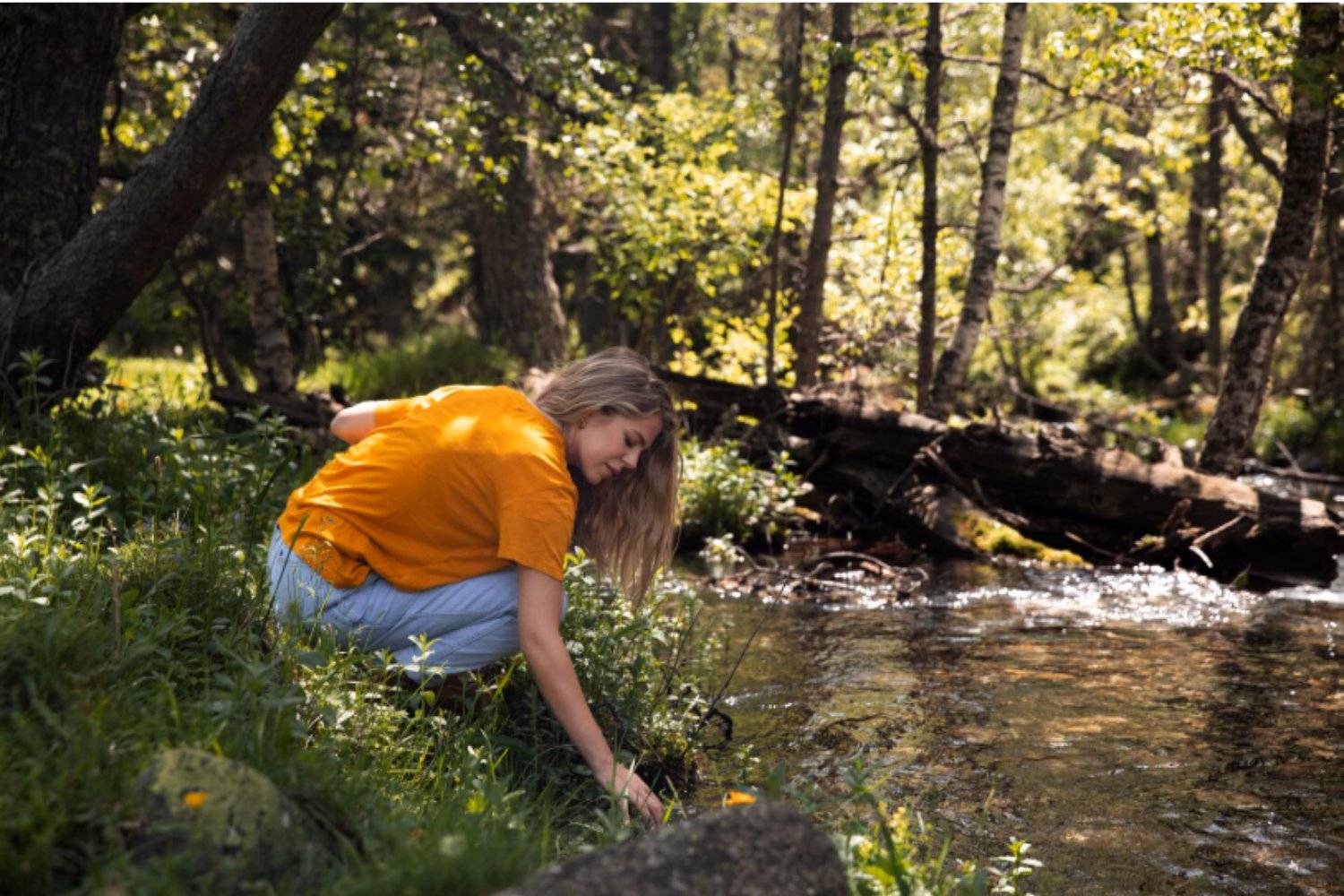 Lo que 20 minutos al día pueden hacer por tu cuerpo y tu mente: la ciencia confirma el poder curativo de la naturaleza