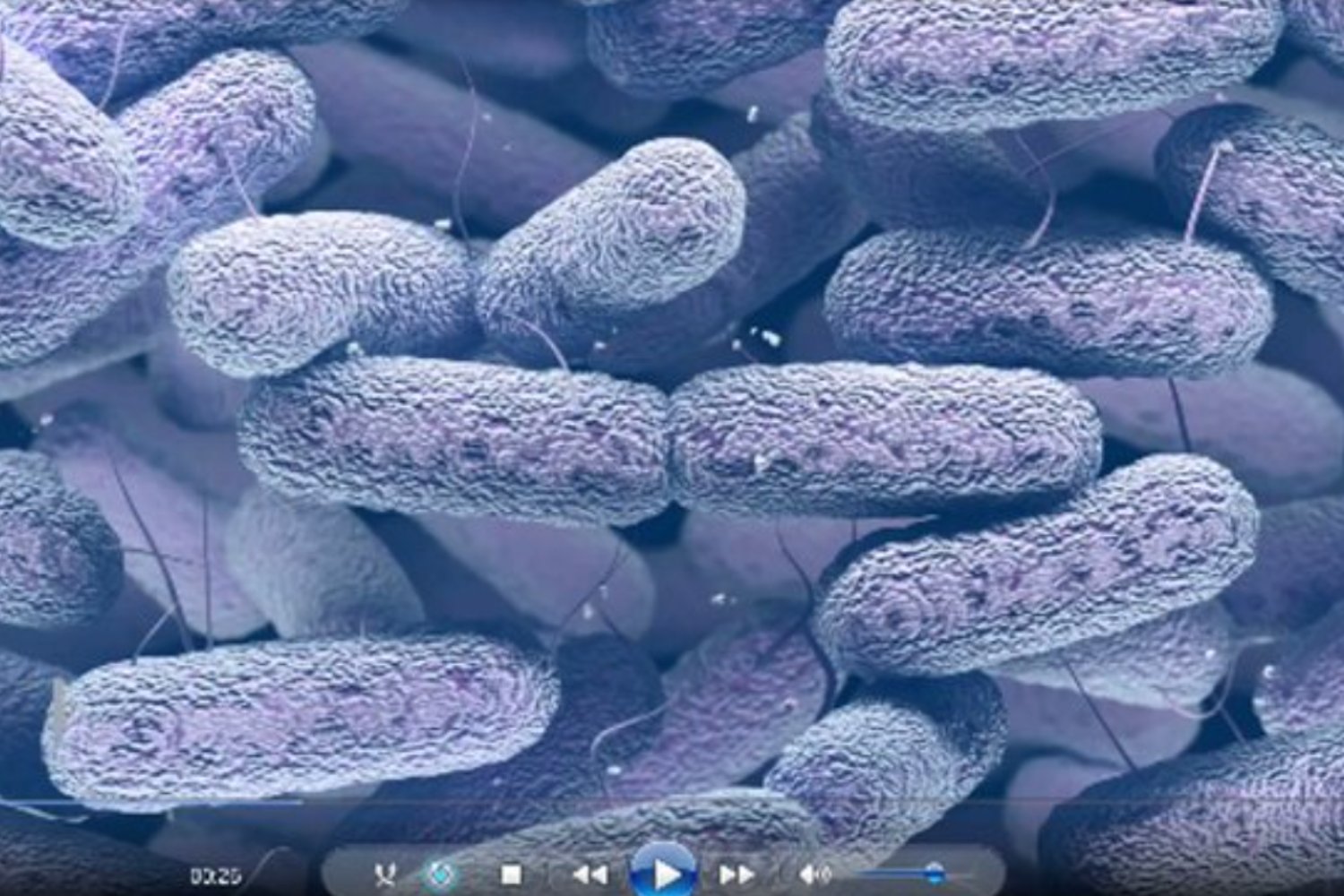 La bacteria que fue al espacio y volvió más fuerte: el microbio que podría proteger la salud en futuras misiones a Marte