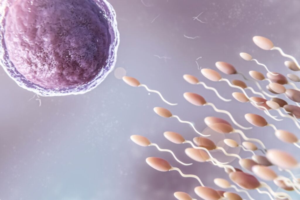 El esperma también envejece: los científicos descubren que acumula mutaciones con la edad y puede influir en la salud de los hijos