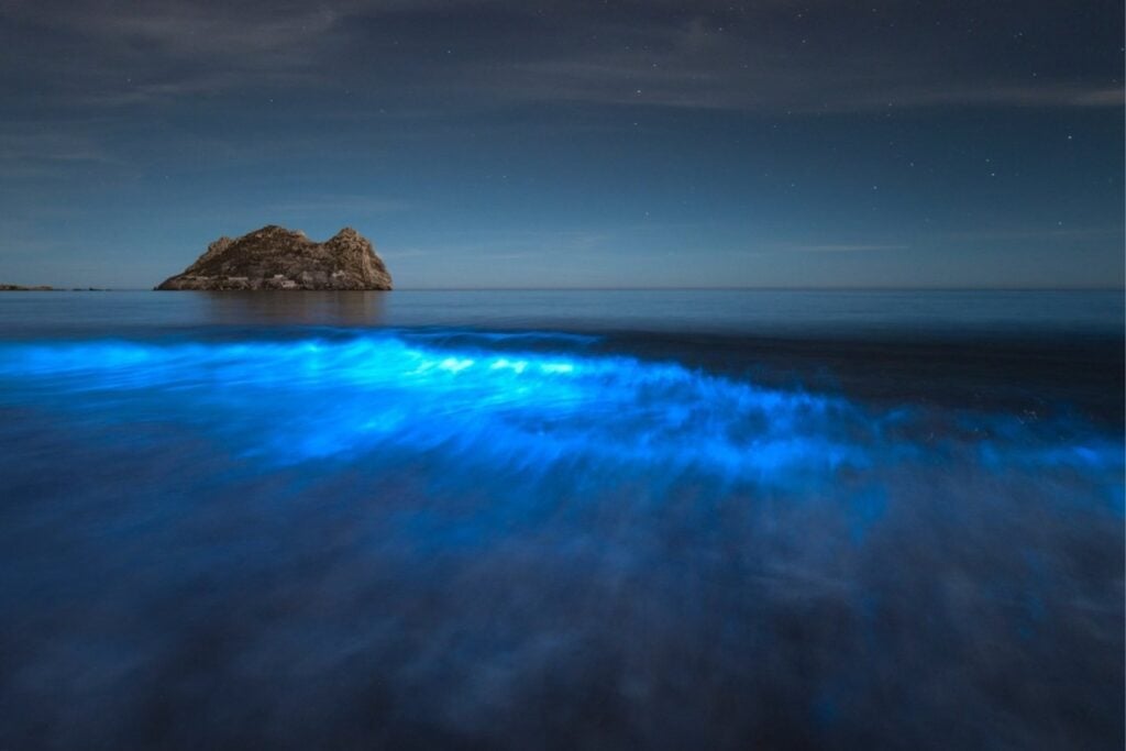 Olas azules: los lugares donde el océano se ilumina por la noche