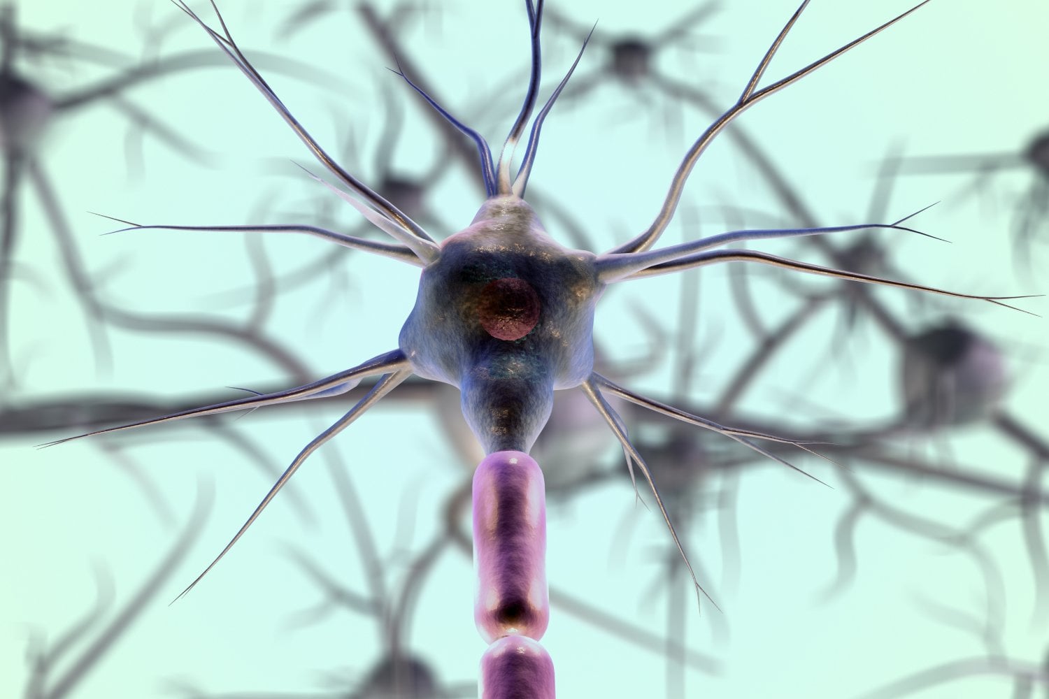 El cerebro artificial da un salto biológico: crean neuronas de laboratorio que imitan el voltaje humano