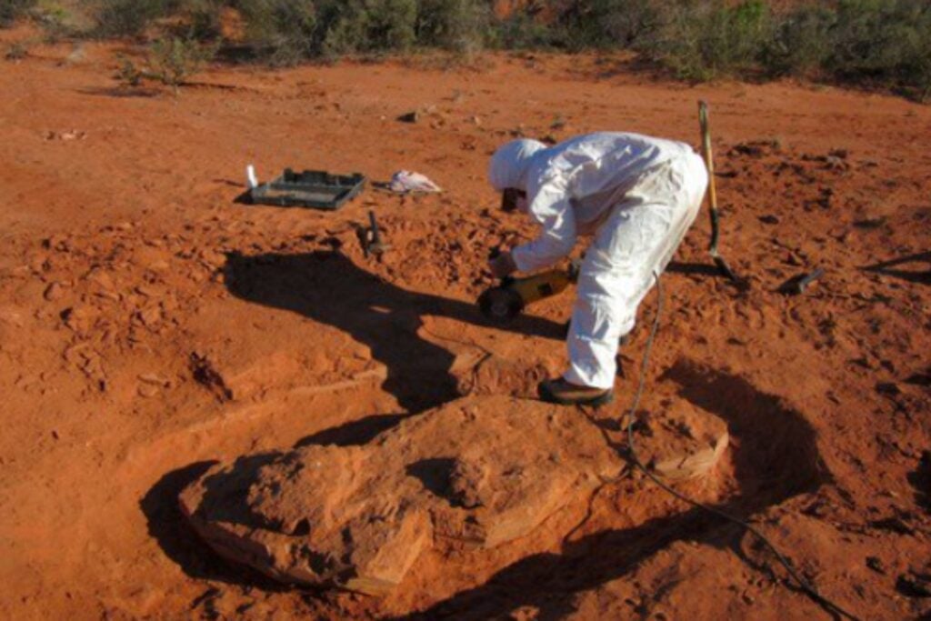 Descubren en Argentina uno de los dinosaurios más antiguos del mundo: un hallazgo que reescribe la historia prehistórica