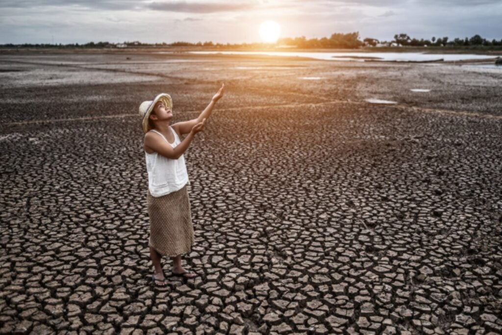 Récord de muertes por calor y polución: la crisis climática ya es sanitaria
