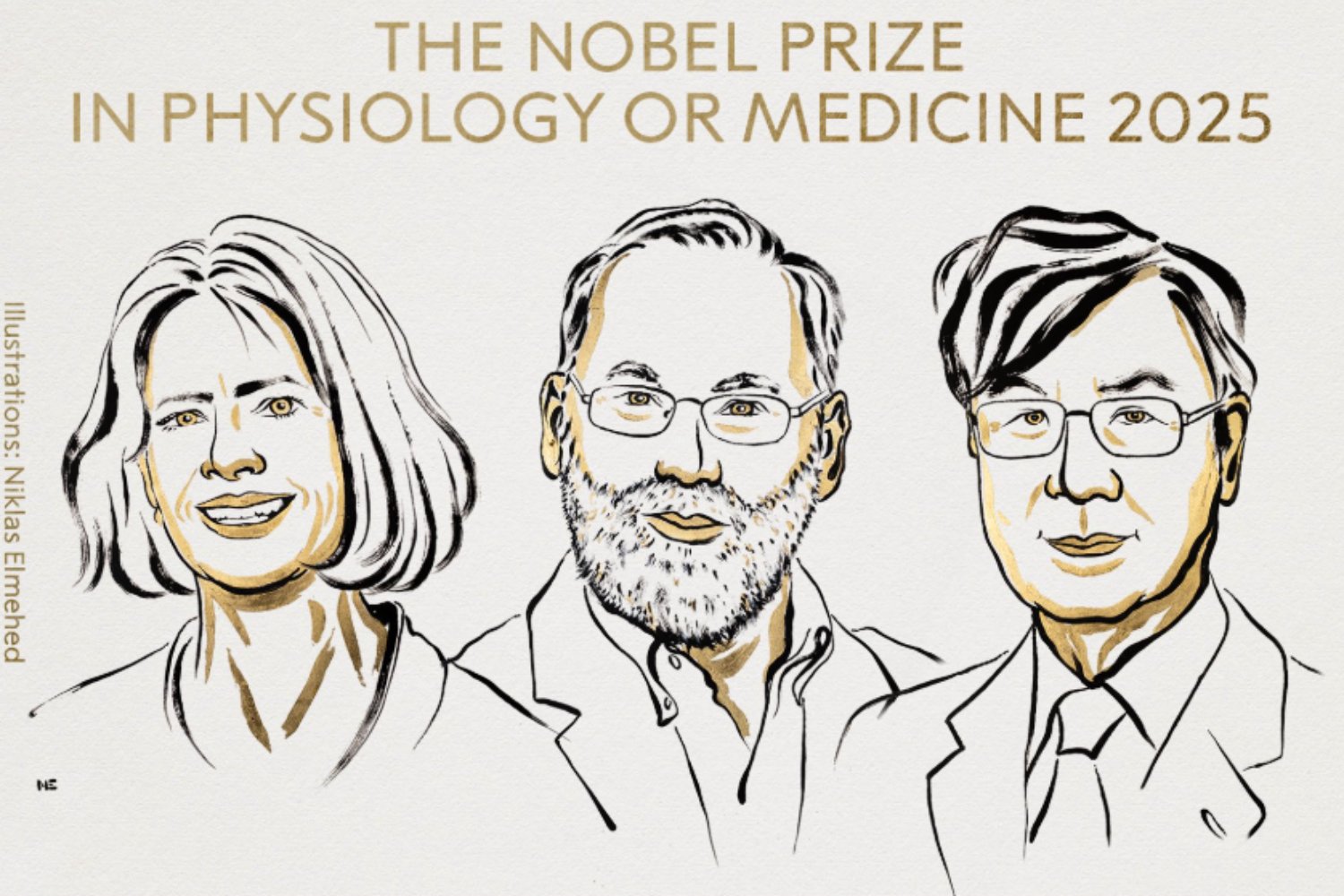 Los guardianes del equilibrio inmunitario: el Nobel de Medicina 2025 premia el hallazgo que explica por qué nuestro cuerpo no se ataca a sí mismo