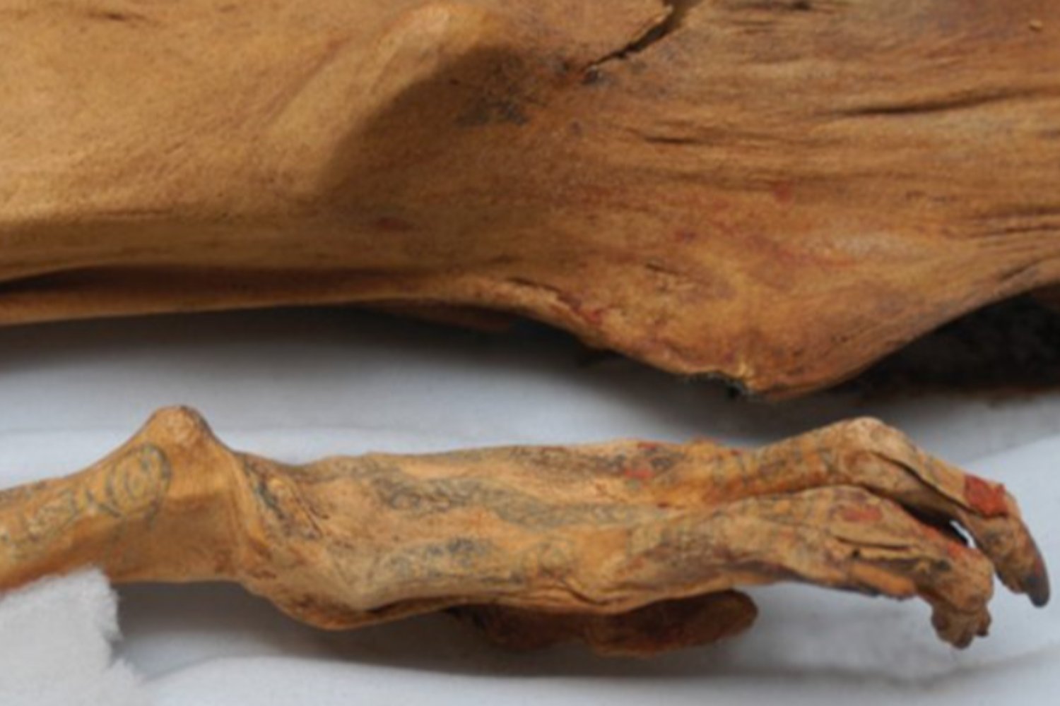 Los mensajes ocultos en tatuajes de momias milenarias que revelan rituales desconocidos de antiguas civilizaciones