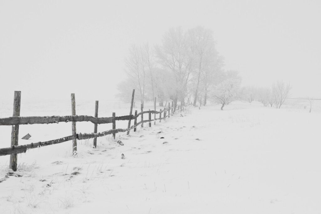 El invierno más letal: por qué crecen las muertes infantiles en Inglaterra