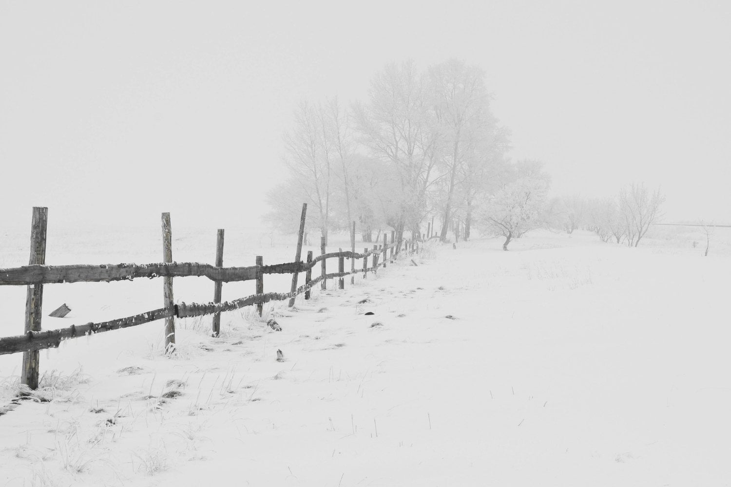 El invierno más letal: por qué crecen las muertes infantiles en Inglaterra