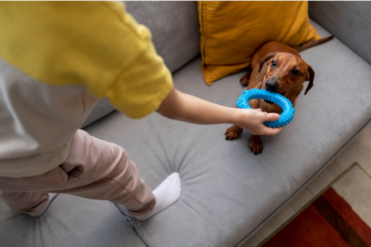 Apego y neurociencia: lo que un estudio de Yale enseña sobre el amor temprano