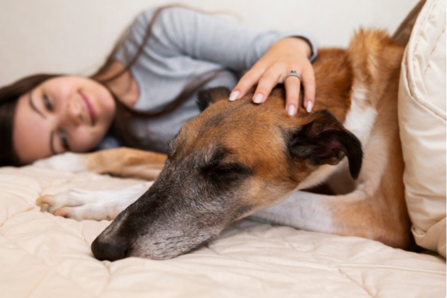 El sueño del perro que habla: la ilusión tecnológica y la advertencia de los científicos sobre los límites del lenguaje animal