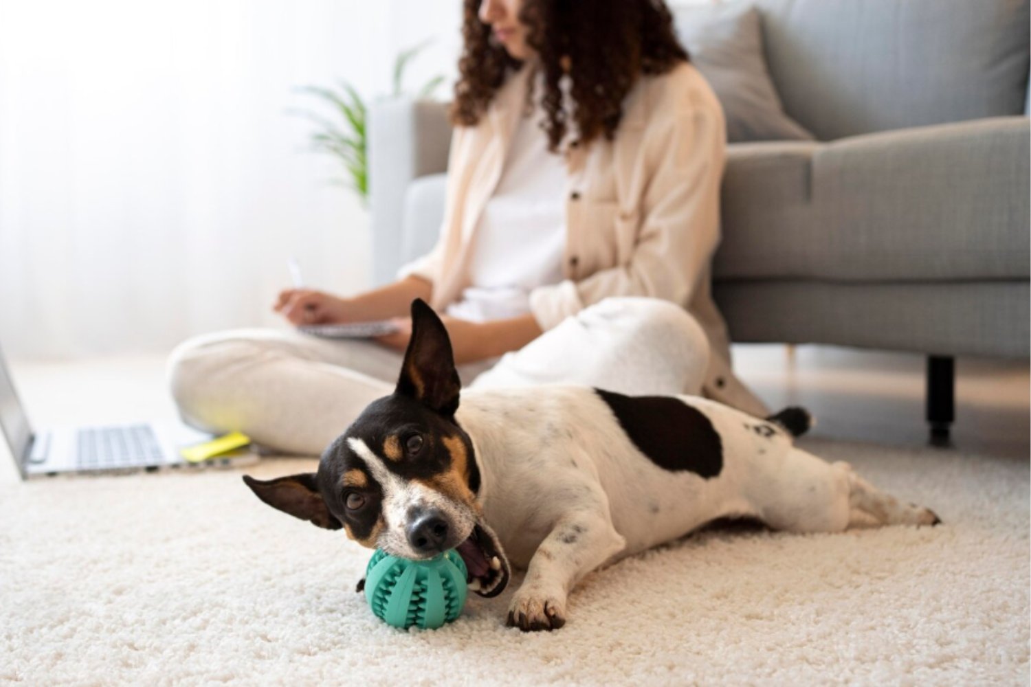 Apego y neurociencia: lo que un estudio de Yale enseña sobre el amor temprano
