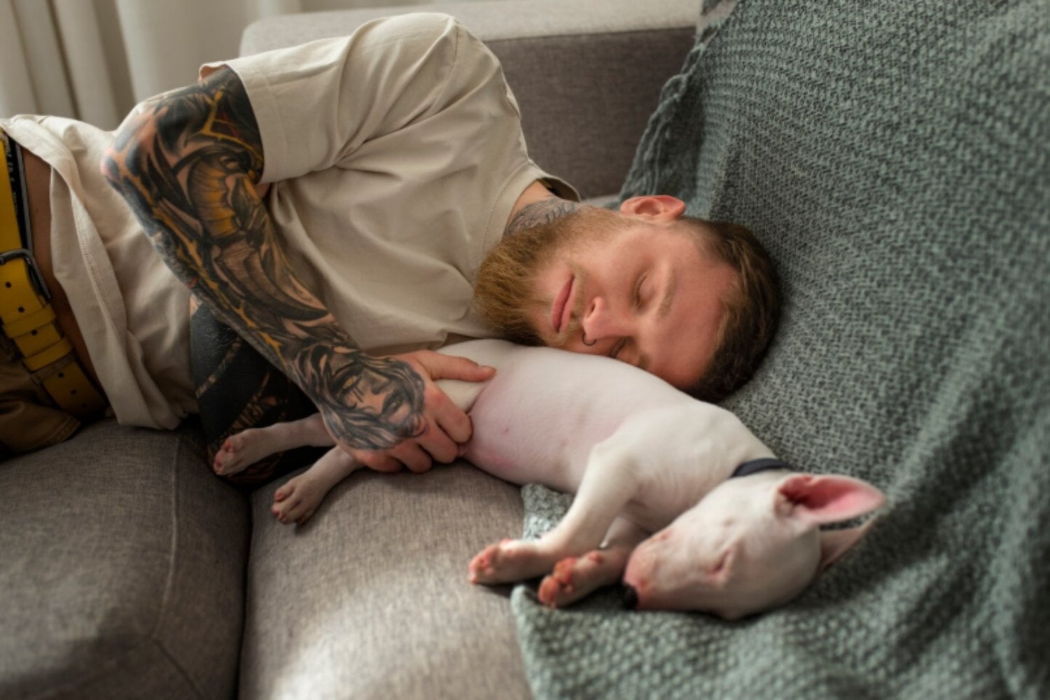 El sueño del perro que habla: la ilusión tecnológica y la advertencia de los científicos sobre los límites del lenguaje animal