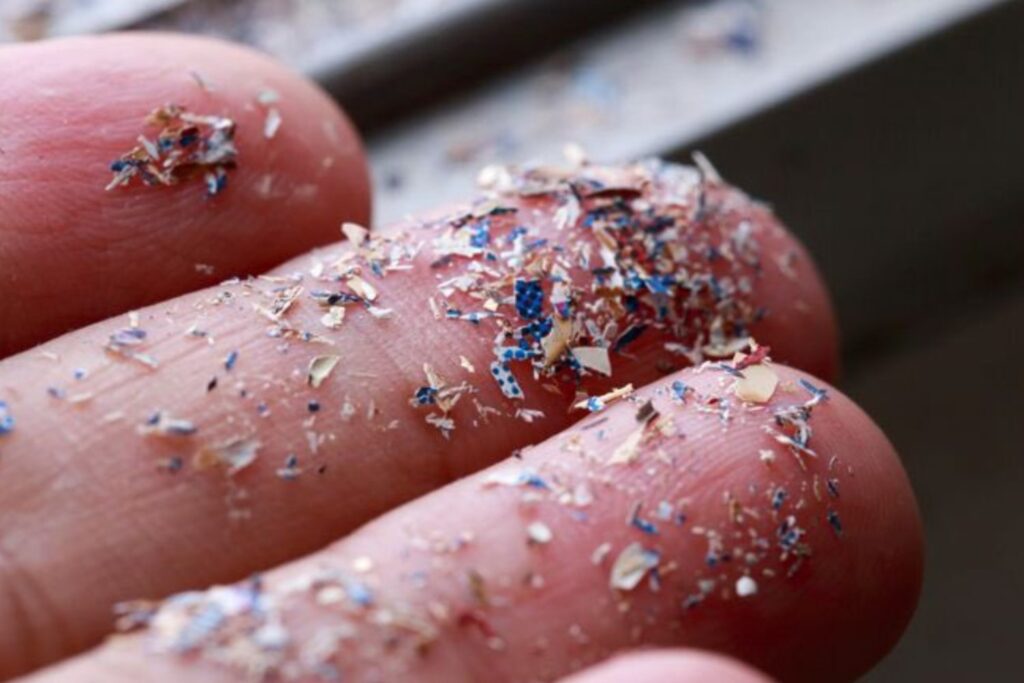 Microplásticos y huesos: la nueva alerta científica sobre fracturas y osteoporosis