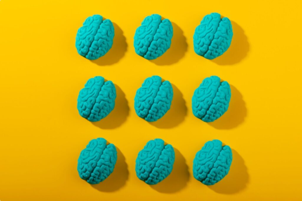 Científicos de Stanford fabrican miles de mini cerebros humanos con un aditivo alimentario