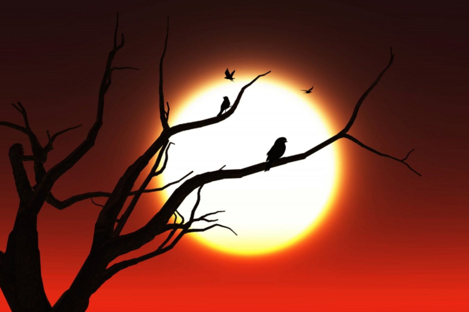 El eclipse que confundió al cielo: cómo un día de oscuridad engañó a las aves y desató un “falso amanecer”