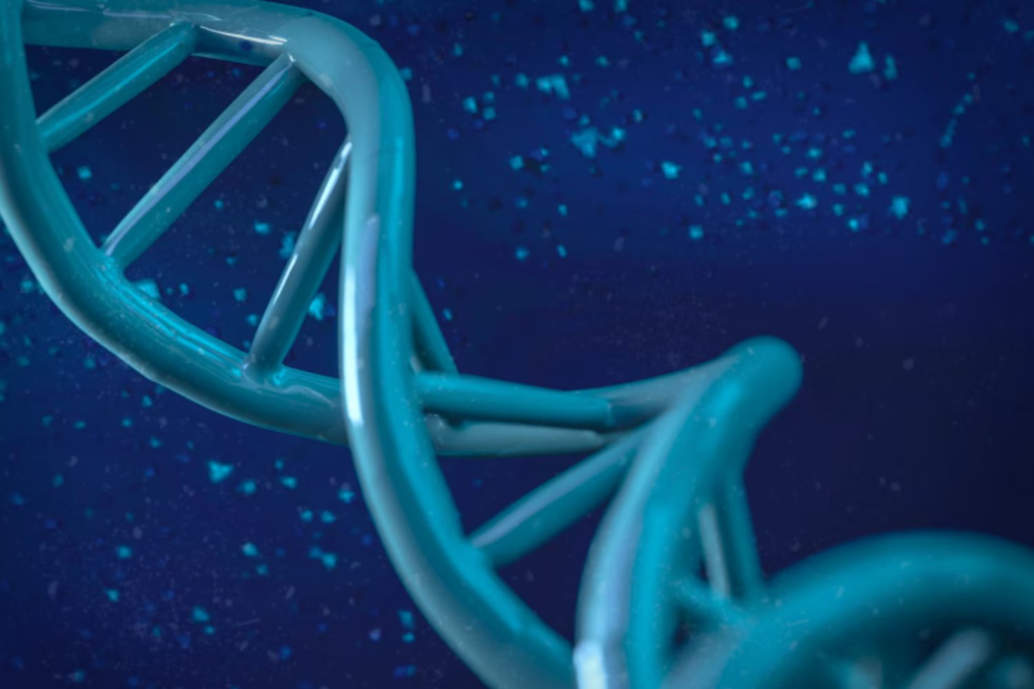 El secreto genético y evolutivo detrás de la longevidad femenina