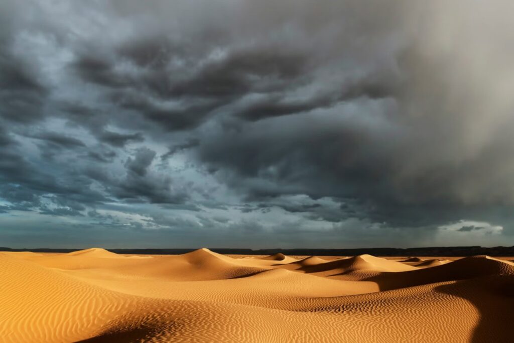 El Sahara podría volverse más verde: el cambio climático traerá lluvias inéditas al mayor desierto del planeta