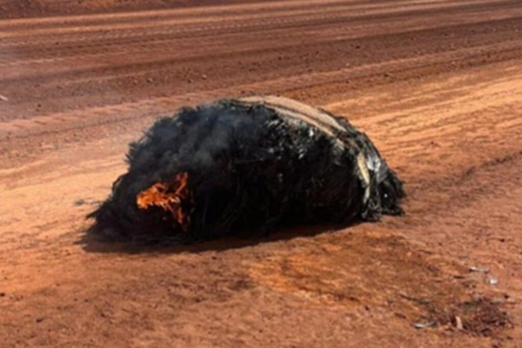 Basura espacial: un fragmento de cohete cae en Australia y alerta al mundo