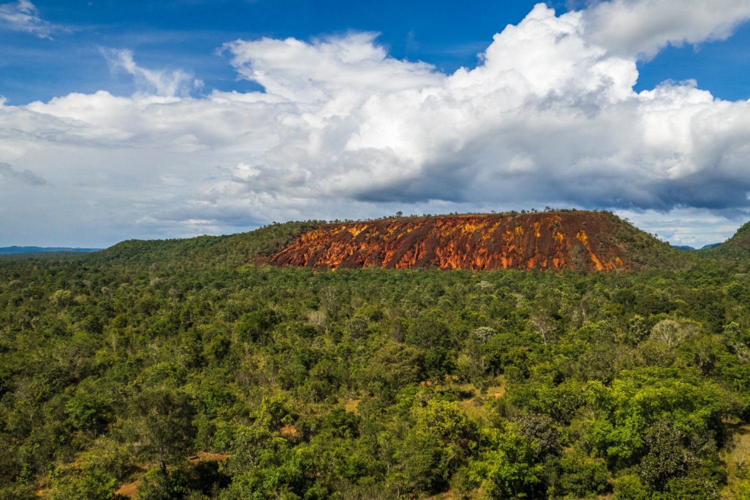 El Cerrado pierde 40 millones de hectáreas: el bioma clave de Brasil al borde del colapso ambiental