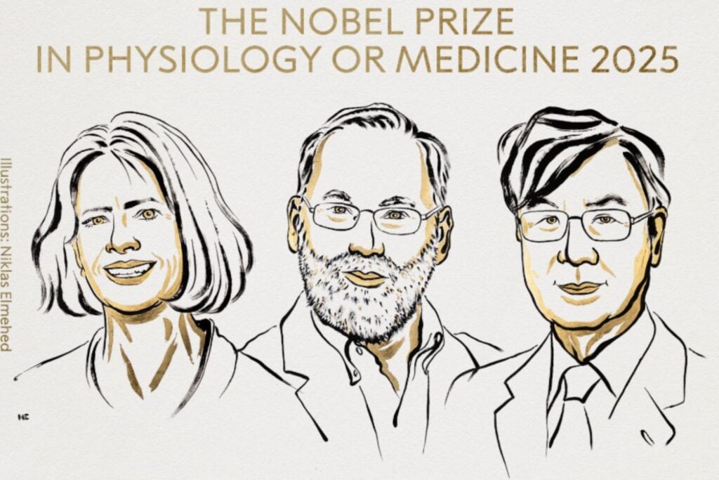 Los Nobel de 2025 en ciencias: las mentes que reescriben la física cuántica, la química molecular y la medicina inmunológica